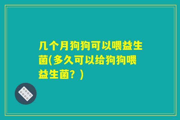 几个月狗狗可以喂益生菌(多久可以给狗狗喂益生菌？)