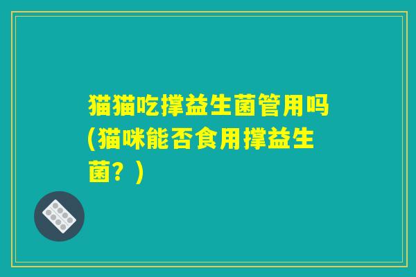 猫猫吃撑益生菌管用吗(猫咪能否食用撑益生菌?) 猫猫吃撑益生菌管用吗(猫咪能否食用撑益生菌?)