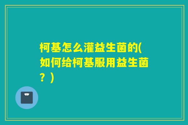 柯基怎么灌益生菌的(如何给柯基服用益生菌？)