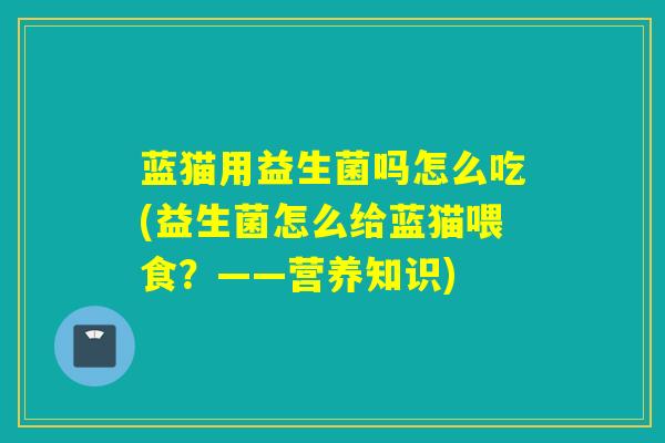 蓝猫用益生菌吗怎么吃(益生菌怎么给蓝猫喂食？——营养知识)