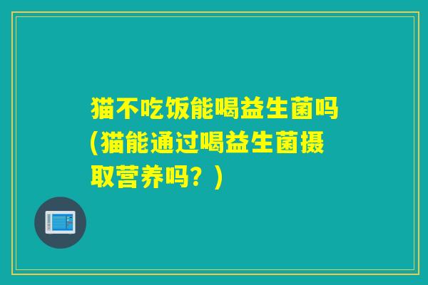 猫不吃饭能喝益生菌吗(猫能通过喝益生菌摄取营养吗？)
