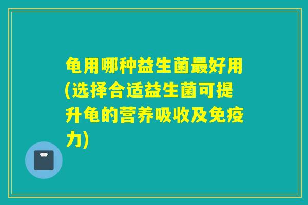 龟用哪种益生菌好用(选择合适益生菌可提升龟的营养吸收及力) 龟用哪种益生菌好用(选择合适益生菌可提升龟的营养吸收及力)