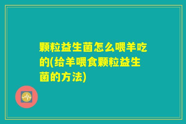 颗粒益生菌怎么喂羊吃的(给羊喂食颗粒益生菌的方法)
