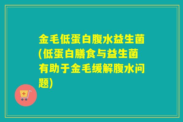 金毛低蛋白腹水益生菌(低蛋白膳食与益生菌有助于金毛缓解腹水问题)