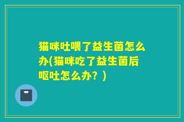 猫咪吐喂了益生菌怎么办(猫咪吃了益生菌后呕吐怎么办？)