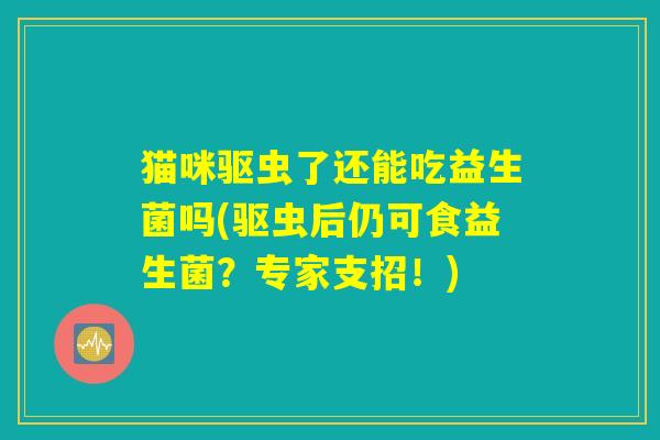猫咪驱虫了还能吃益生菌吗(驱虫后仍可食益生菌？专家支招！)