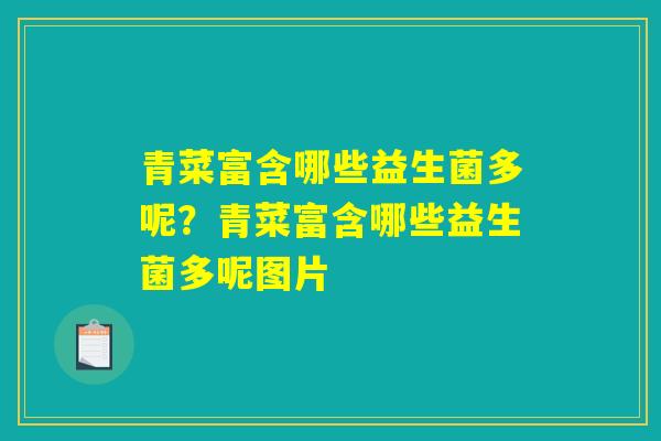 青菜富含哪些益生菌多呢？青菜富含哪些益生菌多呢图片
