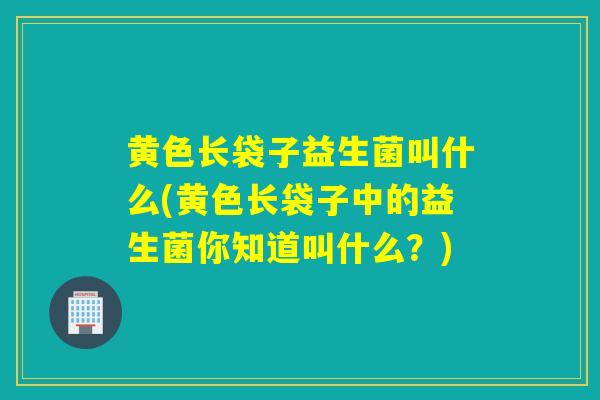 黄色长袋子益生菌叫什么(黄色长袋子中的益生菌你知道叫什么？)
