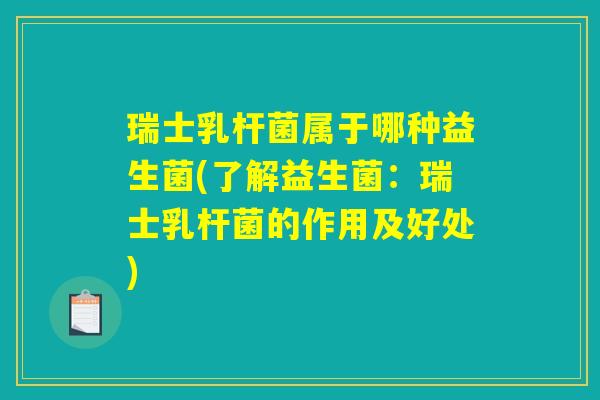 瑞士乳杆菌属于哪种益生菌(了解益生菌：瑞士乳杆菌的作用及好处)