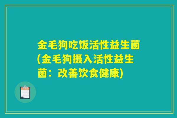 金毛狗吃饭活性益生菌(金毛狗摄入活性益生菌：改善饮食健康)