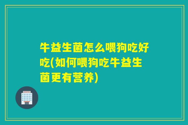 牛益生菌怎么喂狗吃好吃(如何喂狗吃牛益生菌更有营养)