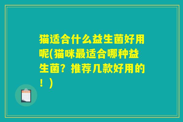 猫适合什么益生菌好用呢(猫咪最适合哪种益生菌？推荐几款好用的！)