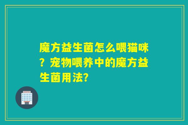 魔方益生菌怎么喂猫咪？宠物喂养中的魔方益生菌用法？