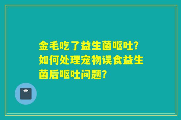 金毛吃了益生菌?如何处理宠物误食益生菌后问题? 金毛吃了益生菌?如何处理宠物误食益生菌后问题?