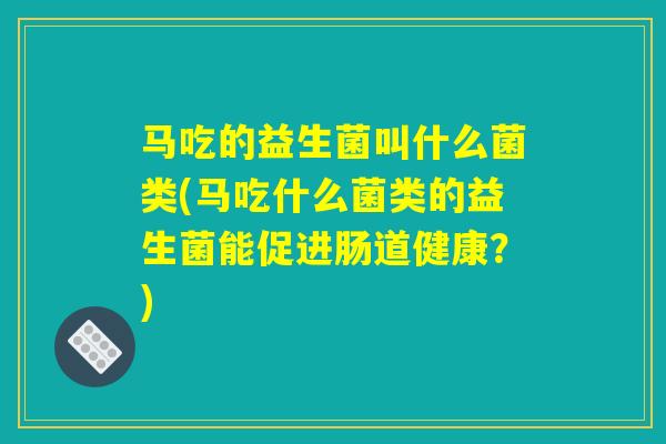 马吃的益生菌叫什么菌类(马吃什么菌类的益生菌能促进肠道健康？)