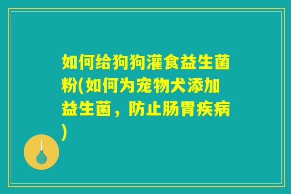 如何给狗狗灌食益生菌粉(如何为宠物犬添加益生菌，防止肠胃疾病)