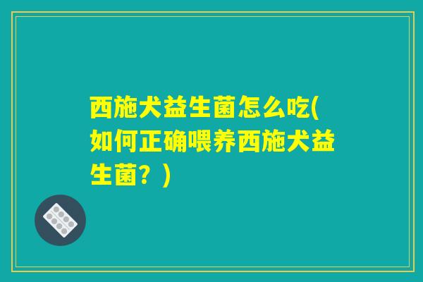 西施犬益生菌怎么吃(如何正确喂养西施犬益生菌？)