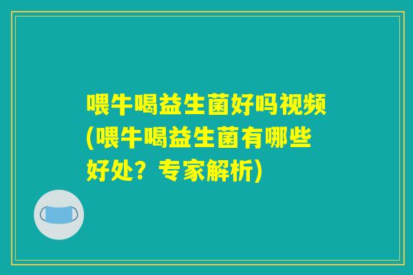 喂牛喝益生菌好吗视频(喂牛喝益生菌有哪些好处？专家解析)