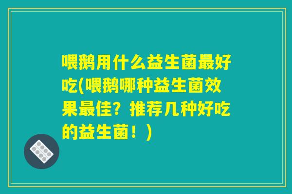 喂鹅用什么益生菌最好吃(喂鹅哪种益生菌效果最佳？推荐几种好吃的益生菌！)