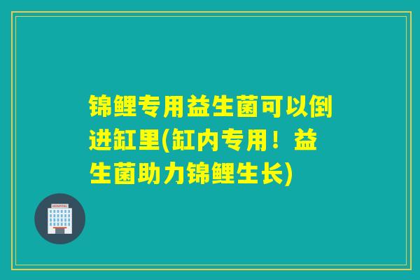 锦鲤专用益生菌可以倒进缸里(缸内专用！益生菌助力锦鲤生长)
