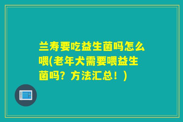 兰寿要吃益生菌吗怎么喂(老年犬需要喂益生菌吗？方法汇总！)
