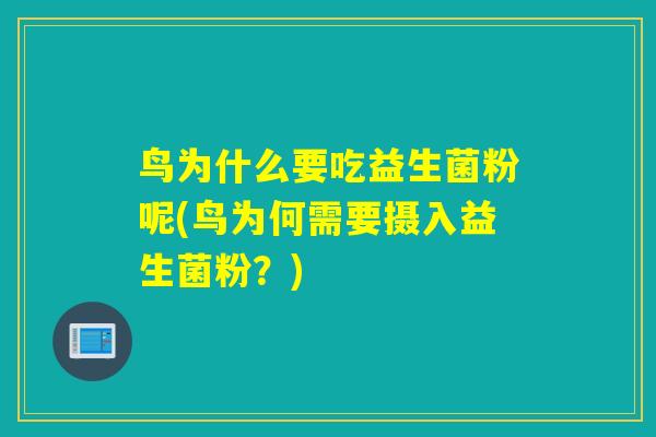 鸟为什么要吃益生菌粉呢(鸟为何需要摄入益生菌粉？)