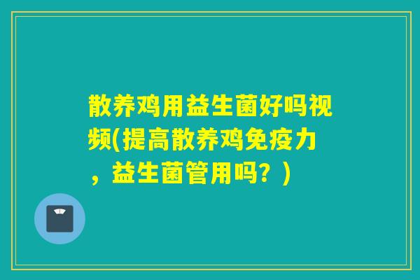 散养鸡用益生菌好吗视频(提高散养鸡免疫力，益生菌管用吗？)