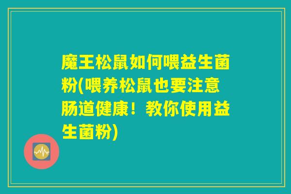 魔王松鼠如何喂益生菌粉(喂养松鼠也要注意肠道健康！教你使用益生菌粉)