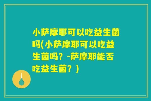 小萨摩耶可以吃益生菌吗(小萨摩耶可以吃益生菌吗？-萨摩耶能否吃益生菌？)