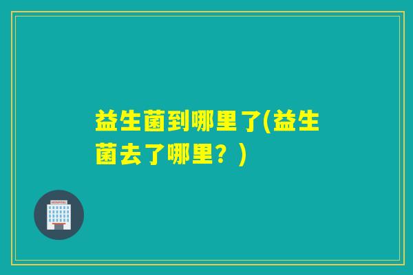 益生菌到哪里了(益生菌去了哪里？)