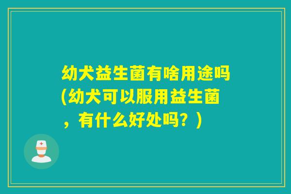 幼犬益生菌有啥用途吗(幼犬可以服用益生菌，有什么好处吗？)