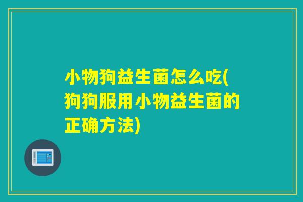 小物狗益生菌怎么吃(狗狗服用小物益生菌的正确方法)
