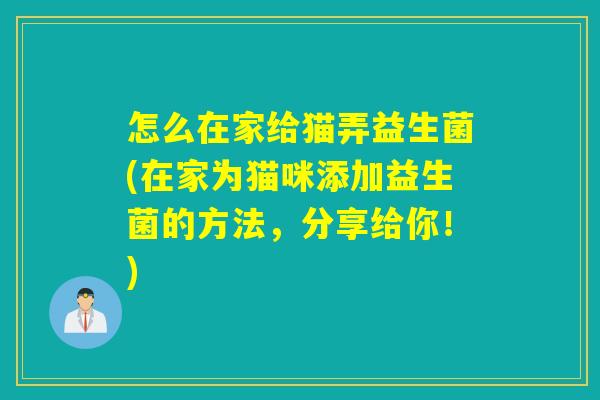 怎么在家给猫弄益生菌(在家为猫咪添加益生菌的方法，分享给你！)