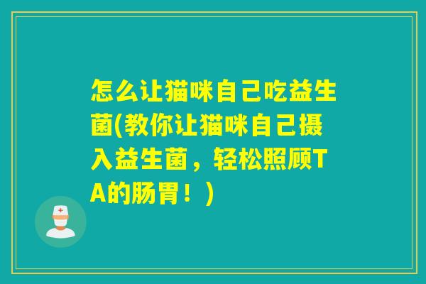 怎么让猫咪自己吃益生菌(教你让猫咪自己摄入益生菌，轻松照顾TA的肠胃！)