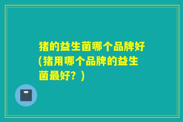 猪的益生菌哪个品牌好(猪用哪个品牌的益生菌好?) 猪的益生菌哪个品牌好(猪用哪个品牌的益生菌好?)