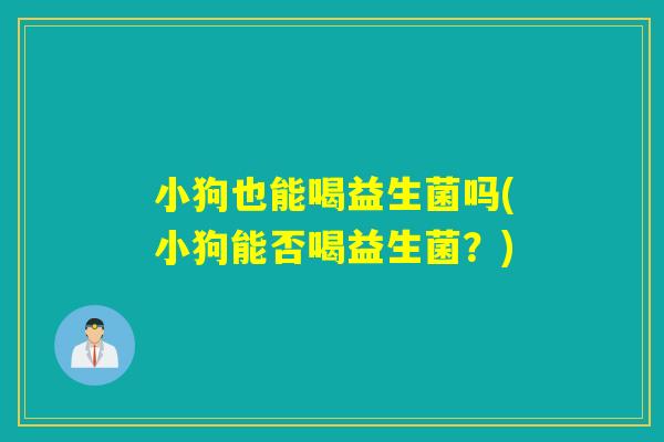 小狗也能喝益生菌吗(小狗能否喝益生菌？)