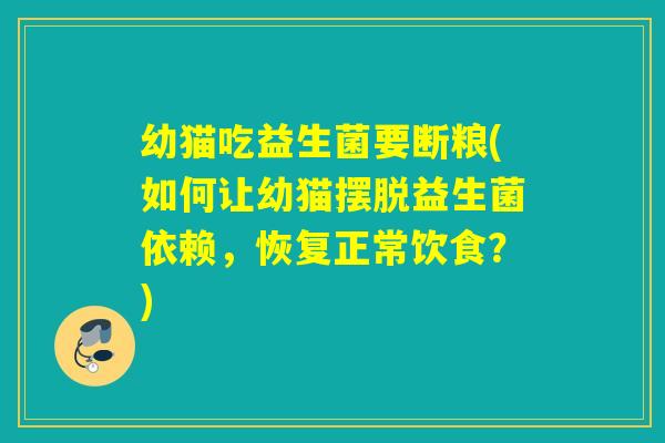 幼猫吃益生菌要断粮(如何让幼猫摆脱益生菌依赖，恢复正常饮食？)
