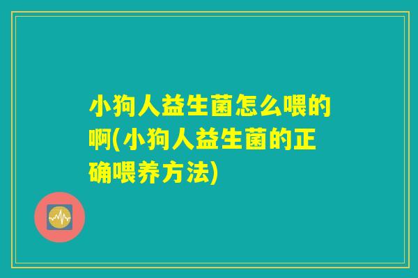 小狗人益生菌怎么喂的啊(小狗人益生菌的正确喂养方法)