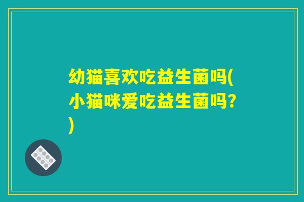 幼猫喜欢吃益生菌吗(小猫咪爱吃益生菌吗？)
