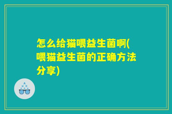 怎么给猫喂益生菌啊(喂猫益生菌的正确方法分享)