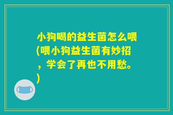 小狗喝的益生菌怎么喂(喂小狗益生菌有妙招，学会了再也不用愁。)