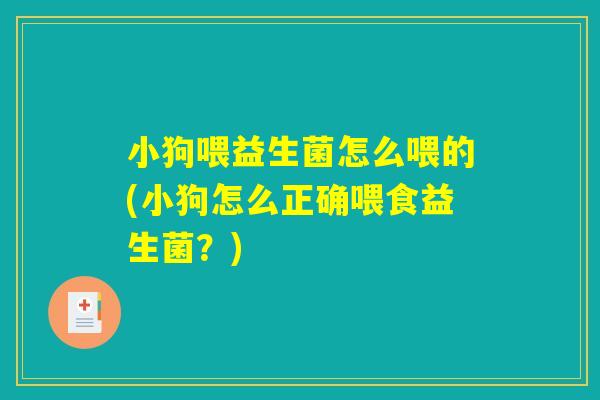 小狗喂益生菌怎么喂的(小狗怎么正确喂食益生菌？)