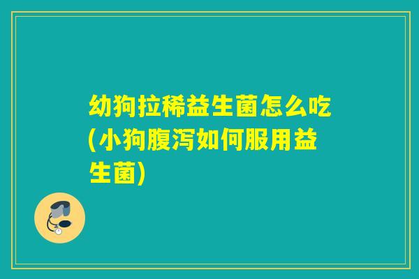 幼狗拉稀益生菌怎么吃(小狗腹泻如何服用益生菌)