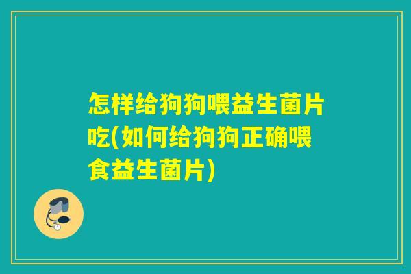 怎样给狗狗喂益生菌片吃(如何给狗狗正确喂食益生菌片)