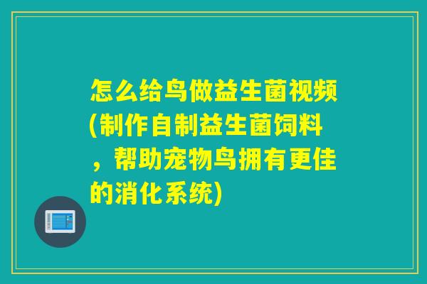 怎么给鸟做益生菌视频(制作自制益生菌饲料，帮助宠物鸟拥有更佳的消化系统)