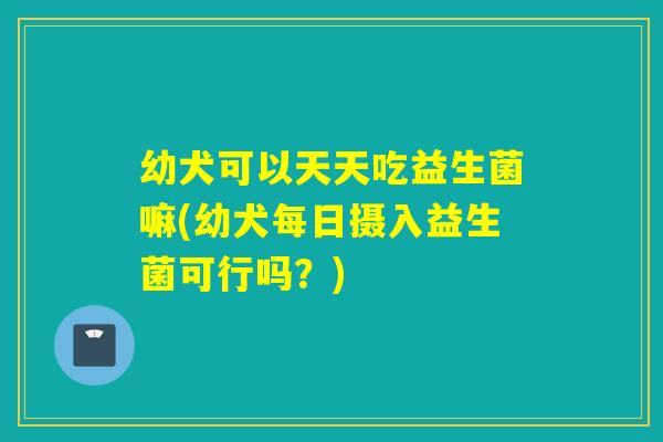 幼犬可以天天吃益生菌嘛(幼犬每日摄入益生菌可行吗？)