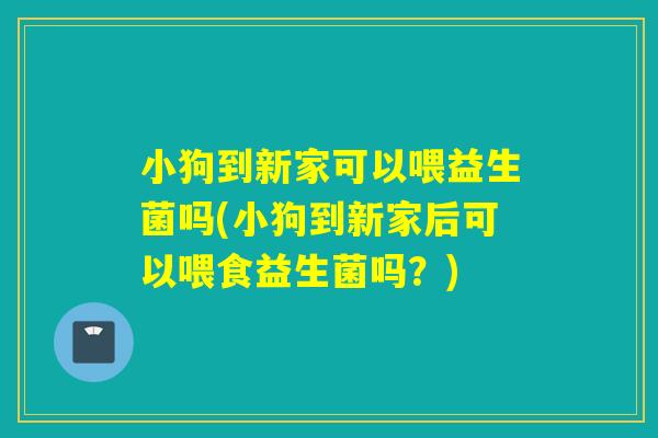 小狗到新家可以喂益生菌吗(小狗到新家后可以喂食益生菌吗？)