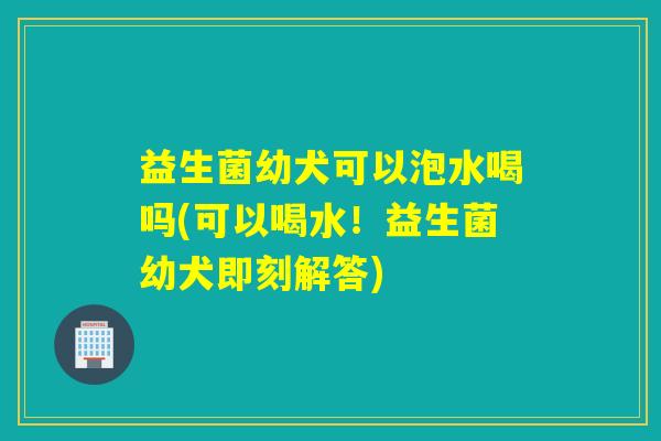 益生菌幼犬可以泡水喝吗(可以喝水！益生菌幼犬即刻解答)