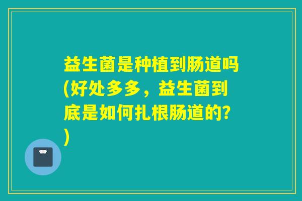 益生菌是种植到肠道吗(好处多多，益生菌到底是如何扎根肠道的？)