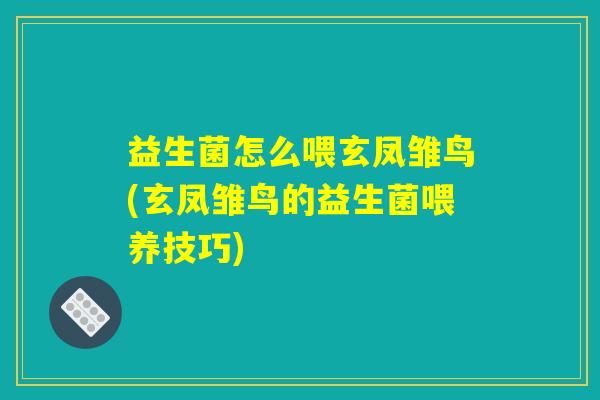 益生菌怎么喂玄凤雏鸟(玄凤雏鸟的益生菌喂养技巧)